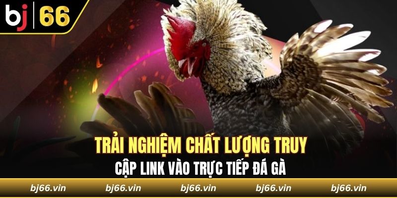 Chất lượng truy cập link vào trực tiếp đá gà