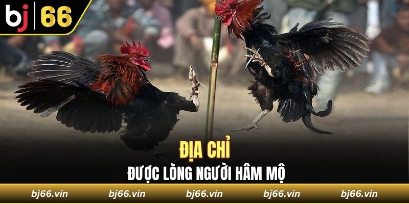 Địa chỉ được lòng người hâm mộ