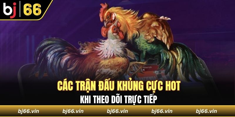 Điểm danh các trận đấu khủng nhất