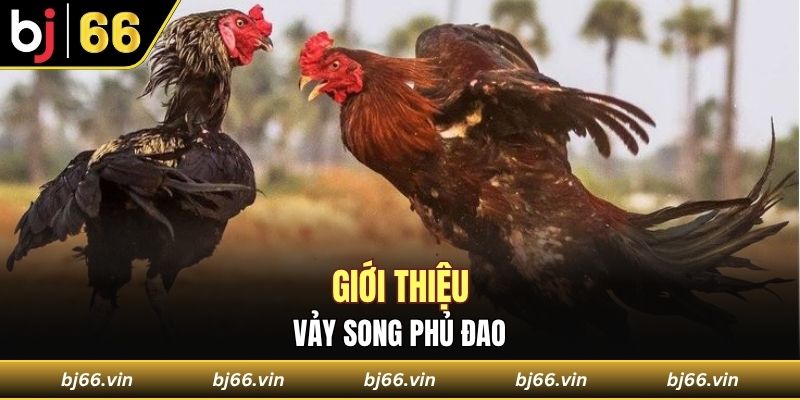 Giới thiệu vảy song phủ đao