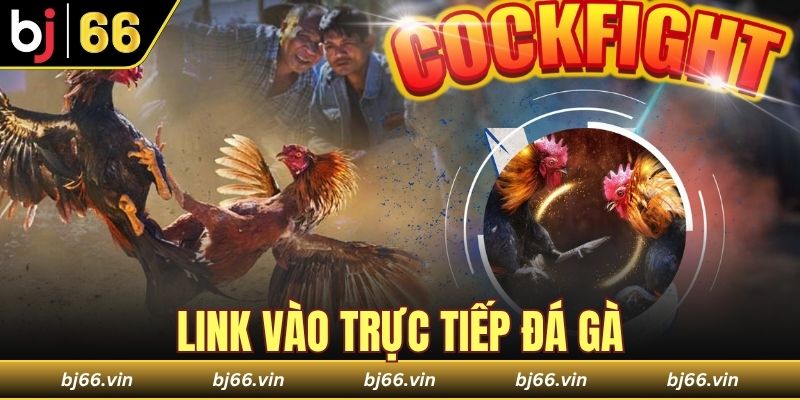 link vào trực tiếp đá gà