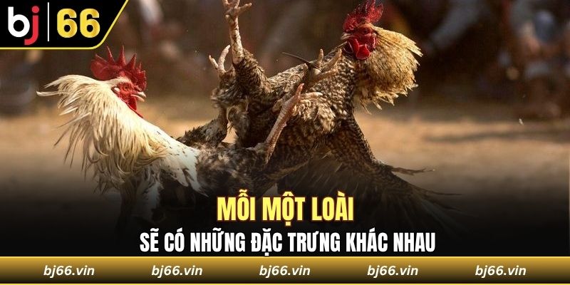 Mỗi một loài sẽ có những đặc trưng khác nhau
