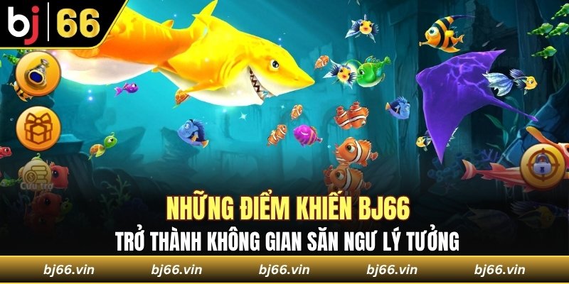 Những điểm khiến Bj66 trở thành không gian săn ngư lý tưởng 