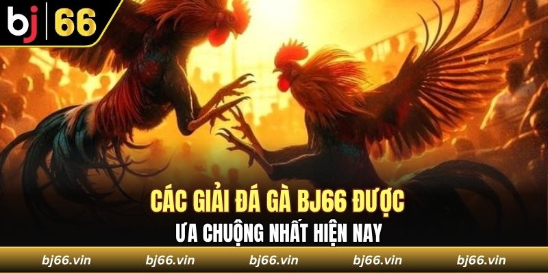 Những giải đấu phổ biến tại nhà cái