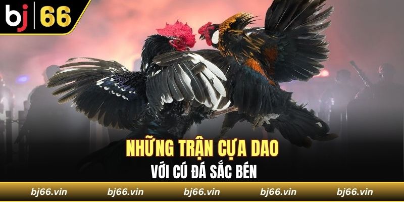 Những trận cựa dao với cú đá sắc bén