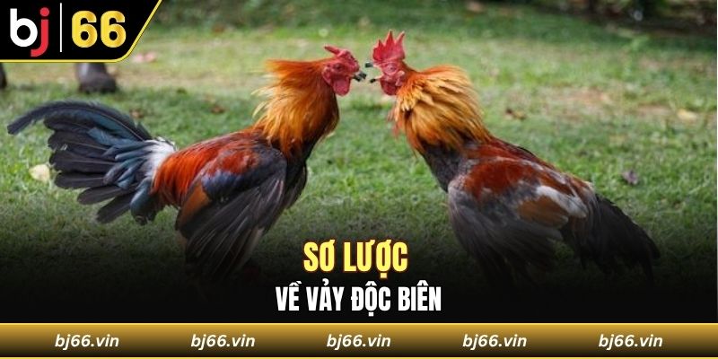 Sơ lược về vảy độc biên