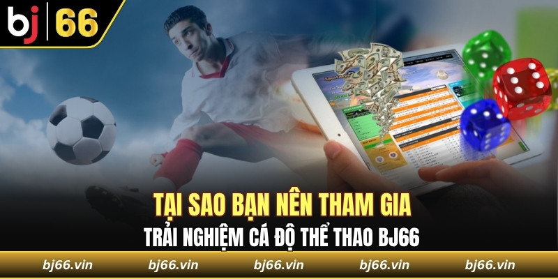 Tại sao bạn nên tham gia trải nghiệm cá độ thể thao Bj66