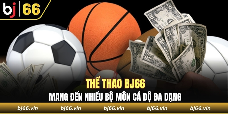 Thể thao Bj66 mang đến nhiều bộ môn cá độ đa dạng