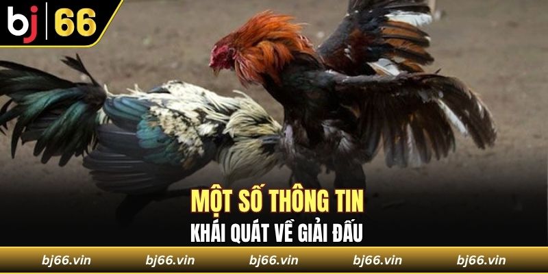 Tìm hiểu một vài thông tin tổng quan về giải đấu