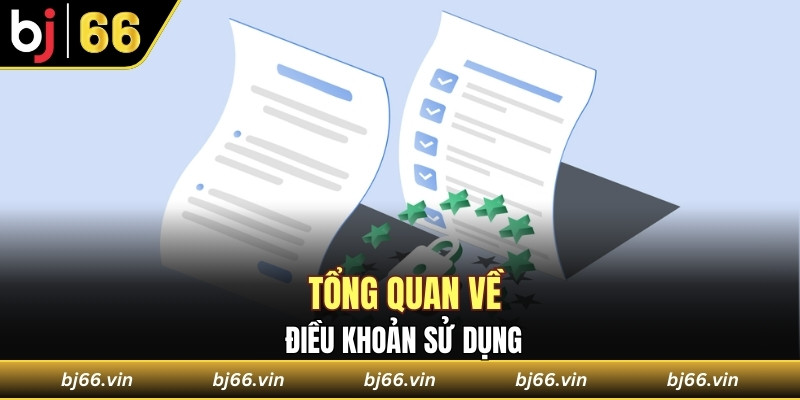 Tổng quan về điều khoản sử dụng
