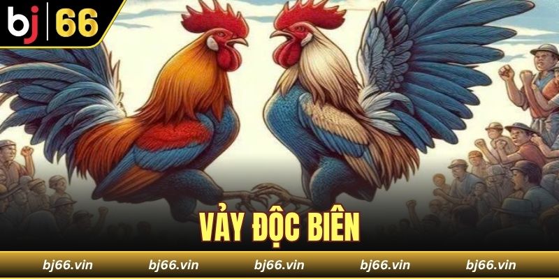 vảy độc biên