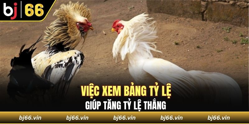 Việc xem bảng tỷ lệ giúp tăng tỷ lệ thắng